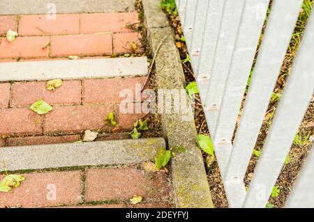 Eine selektive Aufnahme von Betontreppen und Geländer mit abgefallenen Blättern Stockfoto