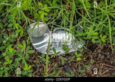 Zerstoßen und achtlos auf dem unter dem liegenden Boden entsorgt Unkraut im Freien, das die Umwelt verschmutzt Stockfoto