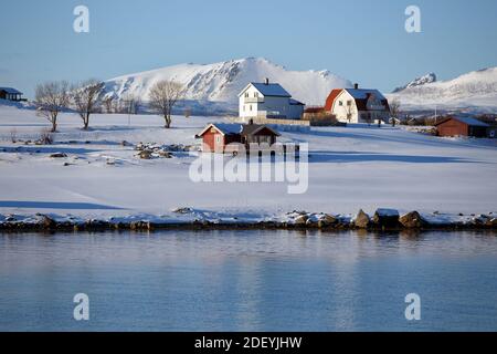 Kleinen norwegischen Dorf am Ufer des Fjords. Lofoten. Norwegen. Stockfoto