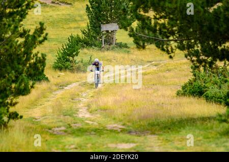 Parc Natural del Alt Urgell, Lleida, Spanien : 2019 juli 26 : Radfahrer in ANDORRA RADRENNEN 2019 in Andorra. Amateur-Rennen in Andorra. Stockfoto