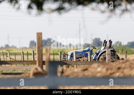 Blauer Traktor in Corral bereit zur Arbeit Stockfoto