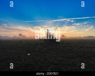 Morgenaufgang über einem Bush auf der Prairie als der Sonne leuchtet Blue Sky mit Orange und Pink gegen Die Wolken im Landschaftsbild Stockfoto