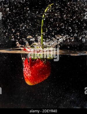 Eine Erdbeere, die ins Wasser spritzt Stockfoto