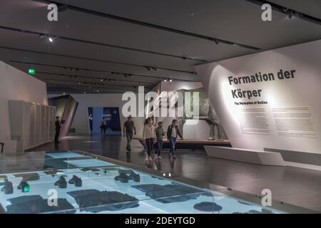 Dauerausstellung, Militärhistorisches Museum der Bundeswehr, Olbrichtplatz, Dresden, Sachsen, Deutschland Stockfoto