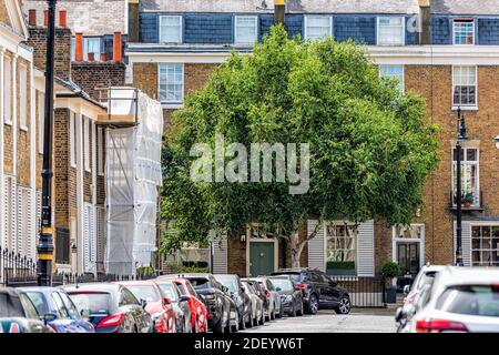 London, UK - 23. Juni 2018: Leere Straße in Pimlico in der Nähe von Belgravia Wohnviertel mit vielen geparkten Autos draußen im Sommer mit grünen tr Stockfoto