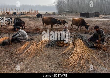 Srinagar, Indien. Dezember 2020. Kashmiri Männer bereiten Zweige vor, um "Kangris", (traditionelle Feuertöpfe) in Shlabugh Dorf des Bezirks Ganderbal ungefähr 22kms von Srinagar zu bilden.das Kangri ist ein traditioneller Feuertopf, der Leute während der strengen Wintermonate warm hält, wenn Temperatur bis zu so niedrig wie minus 20 abtaucht. Kangri ist aus Ton und Zweigen, in denen heiße Kohle gehalten wird. Kredit: SOPA Images Limited/Alamy Live Nachrichten Stockfoto