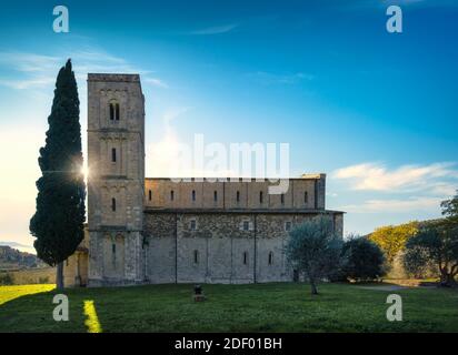 Sant Antimo Abtei am Morgen, Oliven-und Zypressen. Montalcino. Toskana, Italien Stockfoto