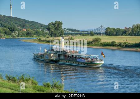 Dampfschiff 'Stadt Wehlen', Elbe, Dresden, Sachsen, Deutschland Stockfoto