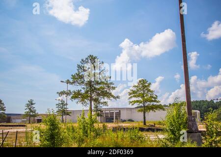 Augusta, GA USA - 07 04 20: Verlassene Regency Shopping Mall durch Bäume und eine Stange Stockfoto