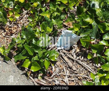 Ausrangierte Gesichtsmaske entlang des Old Alameda Creek Trail in Union City, Kalifornien Stockfoto