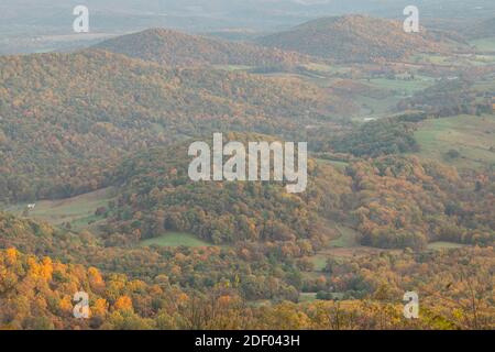 Herbstlaub bedeckt die Wälder im Shenandoah National Park und Shenandoah Valley in Virginia. Stockfoto