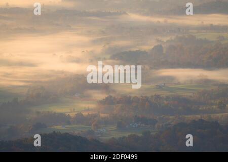 Herbstlicher Morgennebel umgibt die Shenandoah Mountains in den Blue Ridge Mountains von Virginia. Stockfoto