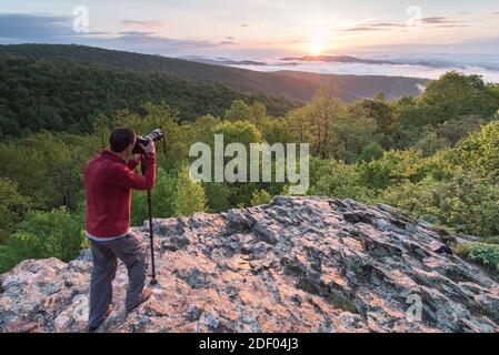 Ein Mann fotografiert den Sonnenaufgang entlang des Skyline Drive, Shenandoah National Park, Virginia. Stockfoto