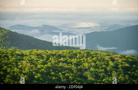 Nebel im Tal unterhalb der Blue Ridge Mountains im Shenandoah National Park. Stockfoto