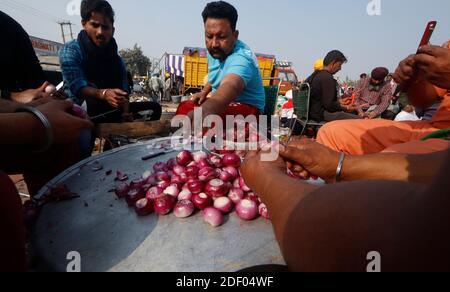 Bauern schneiden Zwiebel, während sie Nahrung für ihre Mitbauern während der Demonstration zubereiten.Tausende von Bauern aus verschiedenen Staaten versammelten sich an der Grenze Singhu (Delhi-Haryana Grenze), um gegen neue Agrargesetze zu protestieren, die laut ihrer Aussage ihr Einkommen stark schädigen werden. Die Landwirte forderten auch die gesetzliche Definition des Mindeststützungspreises (MSP) und appellierten an die Zentralregierung, diesen zurückzuziehen. Stockfoto