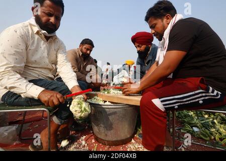 Während der Demonstration sehen die Bauern Gemüse schneiden, während sie Lebensmittel für ihre Co-Bauern zubereiten.Tausende von Bauern aus verschiedenen Staaten versammelten sich an der Grenze Singhu (Delhi-Haryana Grenze), um gegen neue Agrargesetze zu protestieren, von denen sie sagen, dass sie ihr Einkommen schwer verletzen werden, so die Bauerngewerkschaft. Die Landwirte forderten auch die gesetzliche Definition des Mindeststützungspreises (MSP) und appellierten an die Zentralregierung, diesen zurückzuziehen. Stockfoto