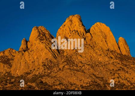 Sonnenaufgang auf den Kaninchenohren in den Organ Mountains, vom Aguirre Springs Campground aus gesehen, Organ Mountains-Desert Peaks National Monument, New Mexico, Stockfoto