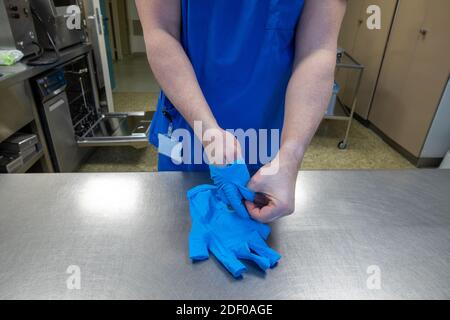 Ein Krankenhauspersonal zieht seine blauen Schutzhandschuhe aus Stockfoto