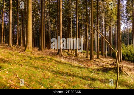 Altkönig bei Frankfurt Kronberg im Taunus Deutschland Herbstansicht Stockfoto