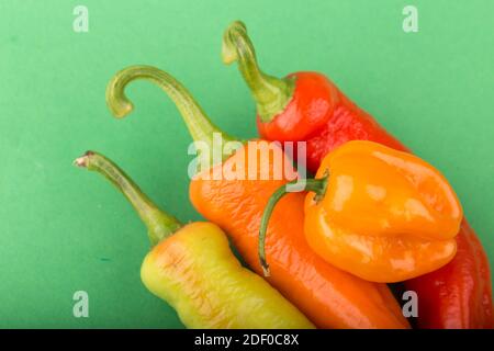 Pikante Paprika (ungarisches Wachs und Habanero-Paprika) Nahaufnahme auf grünem Hintergrund Stockfoto