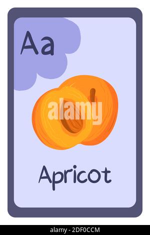 Bunte Alphabet Buchstabe A - Aprikose. Phonics-Flashkarte. Lebensmittel Themen ABC-Karten für den Unterricht Lesen mit Lebensmitteln, Gemüse, Obst und Nüssen. Serie von ABC. Stock Vektor