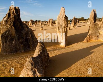 Die Pinnacles, Nambung National Park, Western Australia Stockfoto