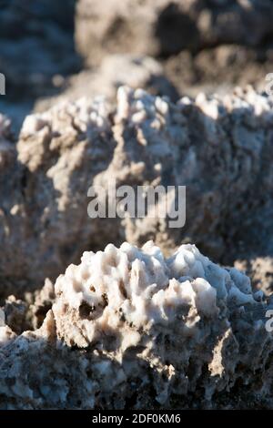 Salzvorkommen auf dem Devil's Golf Course, einer großen Salzpfanne auf dem Boden des Death Valley, Kalifornien. Stockfoto