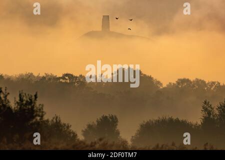 Herbst-Tagundnachtgleiche: Frühmorgendliches Licht und Nebel über dem Glastonbury Tor in Somerset vom Avalon-Sumpfgebiet aus gesehen am letzten Tag vor dem offiziellen Ende des Sommers. Stockfoto