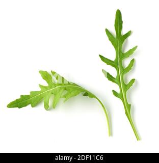 Frische grüne Rucola Blätter isoliert auf weißem Hintergrund, Draufsicht Stockfoto