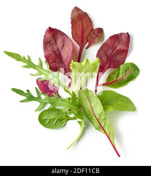 Zusammensetzung von verschiedenen Salatblättern isoliert auf weißem Hintergrund, Draufsicht Stockfoto