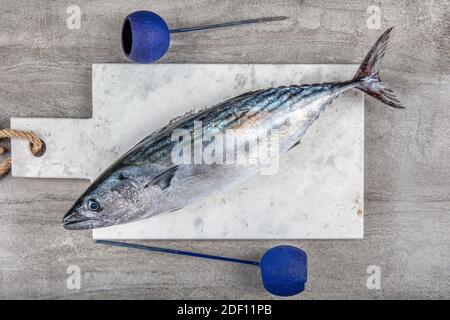 Frischer Fisch. Makrele mit Salz, Zitrone und Gewürzen auf grauem Hintergrund. Kochen von Fisch mit Kräutern. Roher Fisch, Blick von oben. Stockfoto