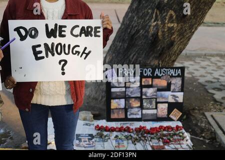 Delhi Climate Save Ogranization und Fridays for Future Movement hatten ein gemeinsames Bewusstsein gegen die Tierzucht, die den Klimawandel verursacht, nach dem jüngsten Brand in Australien bei Jantar Mantar in Neu Delhi, Indien, am 18. Januar 2020. Am 18.01.2020. Foto von Akash Anshuman/ABACAPRESS.COM Stockfoto