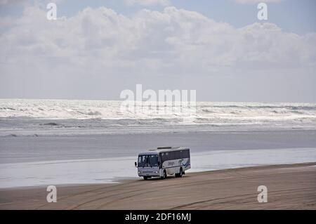 Tour-Bus fahren am Ninety Mile Beach, Northland, Nordinsel, Neuseeland Stockfoto