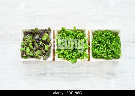 Eine Auswahl an Mikrogrüns auf weißem Hintergrund. Gereimtes Rettich, Senf, Kresse Salatsamen in einer weißen Schüssel. Gesunde Ernährung Konzept, gesunde Lebensweise Stockfoto