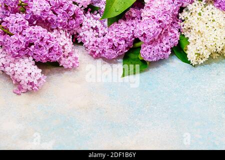 Blumenmuster von rosa Flieder Zweige, Blumen Hintergrund. Flach liegend, Draufsicht. Grußkarte Stockfoto