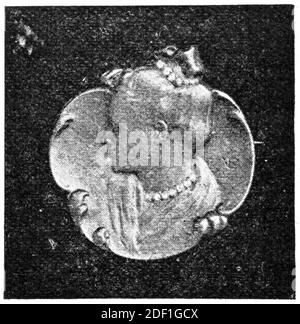 Brosche mit Diamanten eingefasst. Illustration des 19. Jahrhunderts. Deutschland. Weißer Hintergrund. Stockfoto