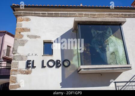 La Garganta, Spanien - 21. November 2020: Besucherzentrum des iberischen Wolfes, Dorf La Garganta. Valle del Ambroz, Caceres, Extremadura, Spanien Stockfoto