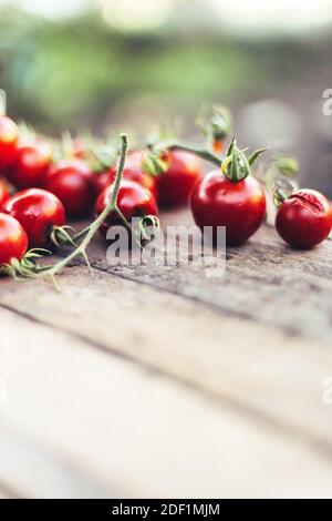 Rote Kirschtomaten auf Holzhintergrund Stockfoto