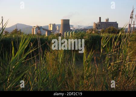 Industriegebiet von ​​chemical Fabriken und Schornsteine jenseits der grünen Vegetation von Rosignano solvay in der toskana Stockfoto