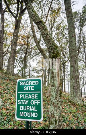 Alabama Oakville Indian Mounds Park Museum, Midde Woodland Platform Mound Steps, Indianer, Indianer indigene Völker heilige Grabstätte, Stockfoto