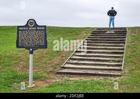 Alabama Oakville Indian Mounds Park Museum, Midde Woodland Platform Mound Steps, Indianer, Indianer indigene Völker heilige Grabstätte, Stockfoto