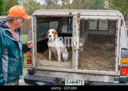 Alabama Town Creek Doublehead Resort Wachteljagdführer, englischer Zeigerhunde Mannkäfig, Stockfoto