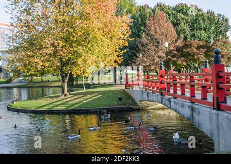 Huntsville Alabama, Big Spring Park, rote japanische Brücke, Herbstfarben Bäume, Stockfoto