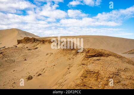 Riesige Sanddünen in der Nähe von neunzig Meilen Strand im Westen Küste von Neuseeland Stockfoto
