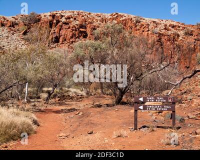 Kamel- und Kamelwanderwege beginnen am Python Pool, Millstream Chichester National Park, Pilbara, Westaustralien Stockfoto