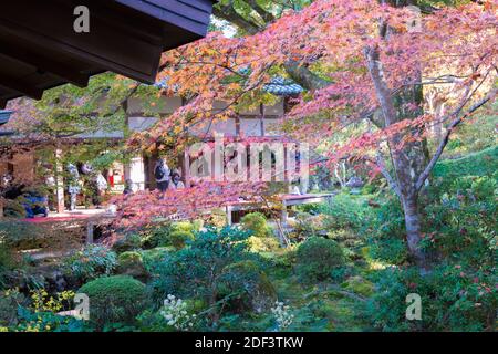 Kyoto, Japan - Herbstblattfarbe am Sanzenin Tempel in Ohara, Kyoto, Japan. Sanzenin Tempel wurde 804 gegründet. Stockfoto