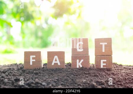Fake News versus Fakten Konzept. Hand ändern gefälschte Holzblöcke zu Wort Tatsache in natürlichen Hintergrund. Stockfoto