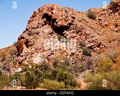 Die Bar aus Jaspis, die mit Marmor verwechselt wurde, gab der Stadt Marble Bar ihren Namen, Pilbara, Western Australia Stockfoto