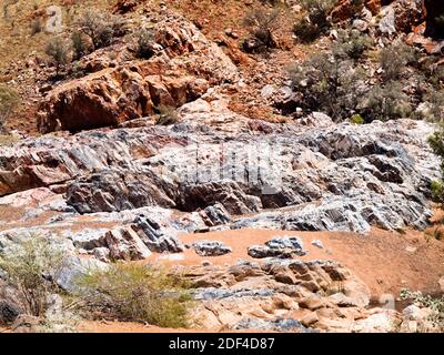 Nahaufnahme der Bar aus Jaspis, die für Marmor gehalten wurde, was der Stadt Marble Bar ihren Namen gab: Pilbara, Western Australia Stockfoto