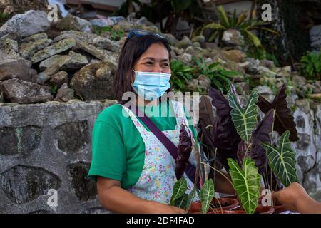 Dumaguete, die Philippinen - 28 Nov 2020: Frau in Gesichtsmaske verkauft Blumen . Freundliche Filippina in Schutzmaske auf dem Markt. Agrarmarkt neue Normalität Stockfoto